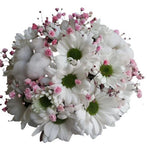 White Daisy Chrysanthemum with Gypsophilum Bouquet