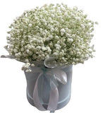 White Gypsophila Box