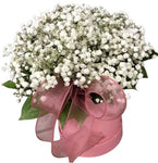 White Gypsophila Box