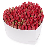 Wonderful Tulips Heart Box