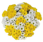 Yellow and White Chrysanthemum Bouquet