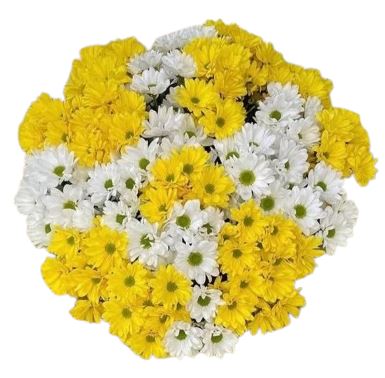 Yellow and White Chrysanthemum Bouquet