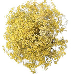 Yellow Gypsophila Bouquet