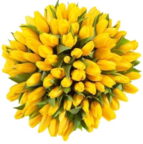 Yellow Tulips Bouquet