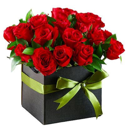 Beautiful Box of Roses with Greenery