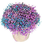 Blue and Purple Baby's Breath Box