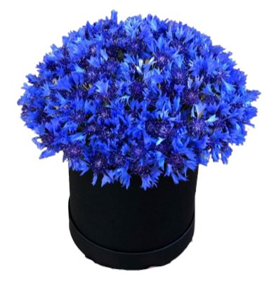 Box of Cornflowers