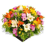 Colourful Freesias Box