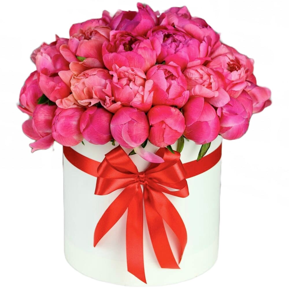 Charm and Elegance Unveiled: Coral Peonies in an Exquisite Box - Nature ...