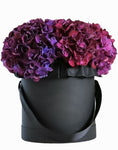 Deep Purple Hydrangea Box