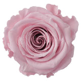 Infinity Roses Luxury Heart Box - Rose Head Ø 7cm