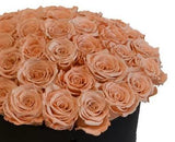 Luxury Cappuccino Roses Hat Box