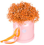 Orange Baby's Breath Box