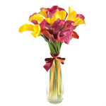 Pink and Yellow Calla Lily Bouquet