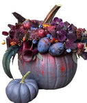 Purple Pumpkin with Plum