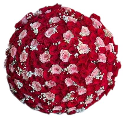 Red and Pink Roses with Gypsophila Bouquet – Flowers Box London