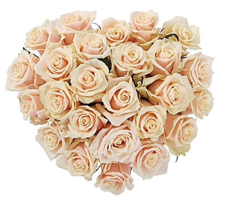 Sweet Avalanche Roses Heart Box – Flowers Box London