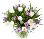 White & Purple Tulips