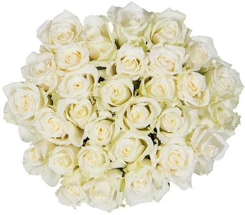 White Roses Bouquet – Flowers Box London